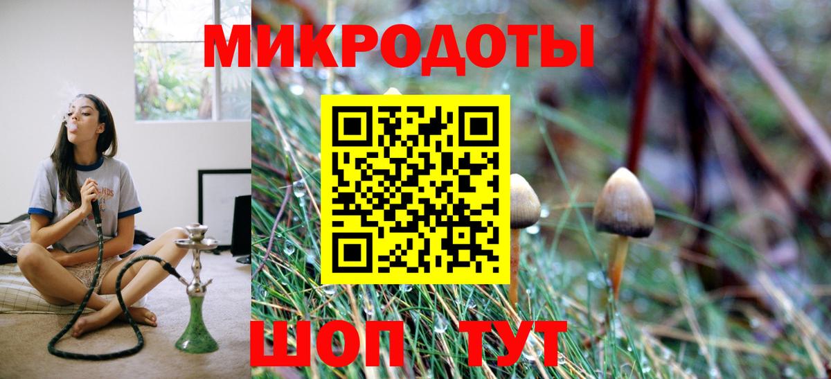 Псилоцибиновые грибы Psilocybe Великие Луки